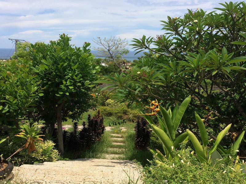 Bali Natur Lovina Kültér fotó