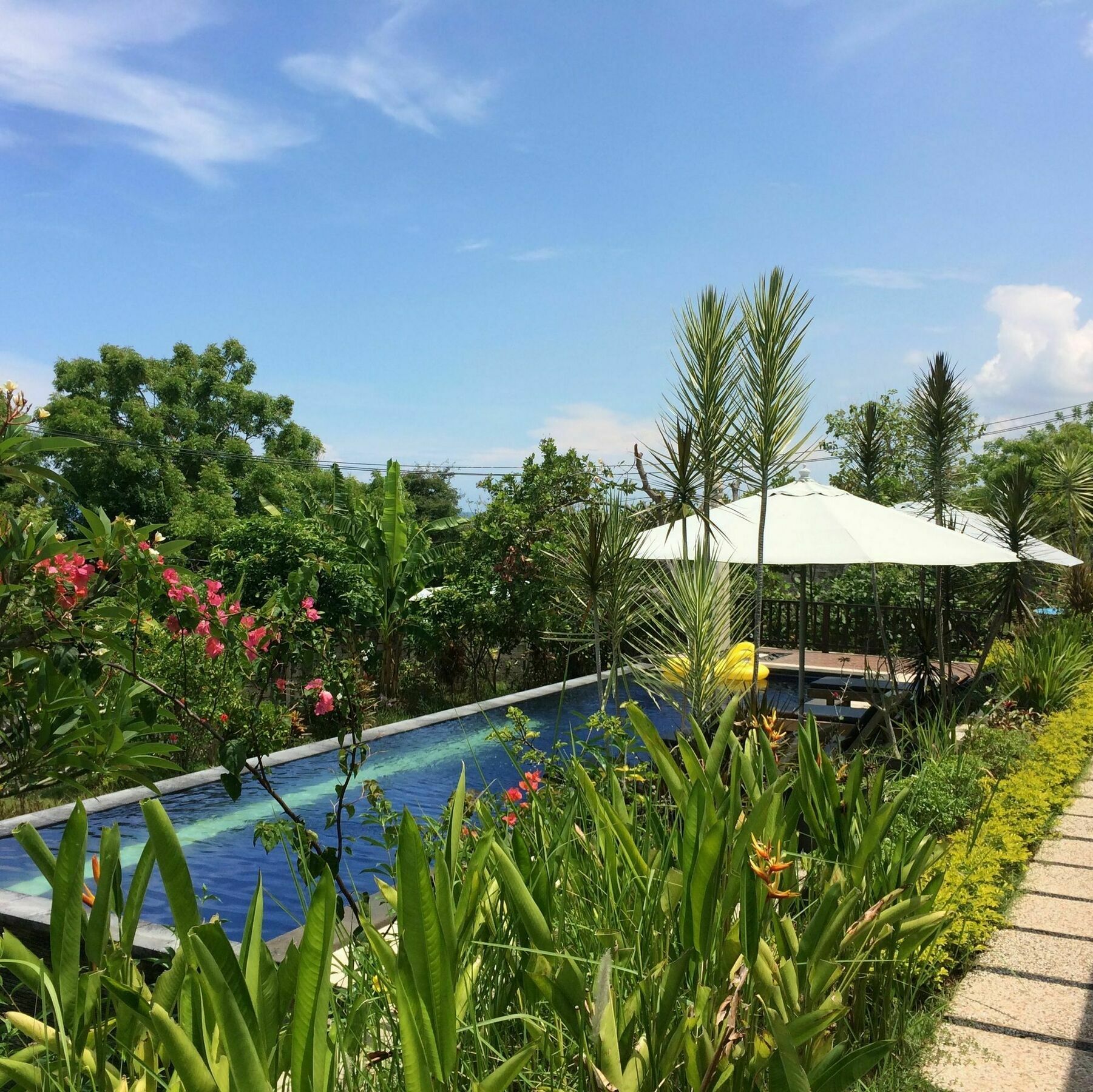Bali Natur Lovina Kültér fotó